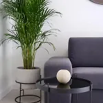 Hugo 2 Apartament